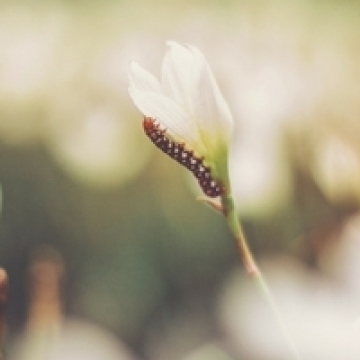 Pay & Pensions: How will the April 2018 changes affect you and your employees?